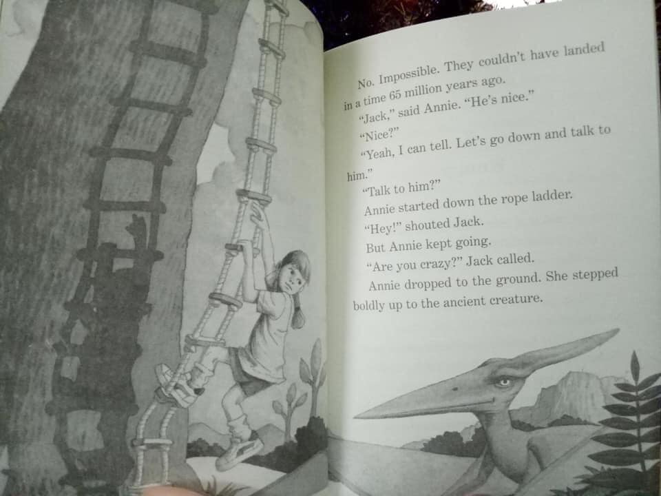 Magic Tree House Boxed Set - Sách nhập khẩu - Part1 - Tâp 1-28