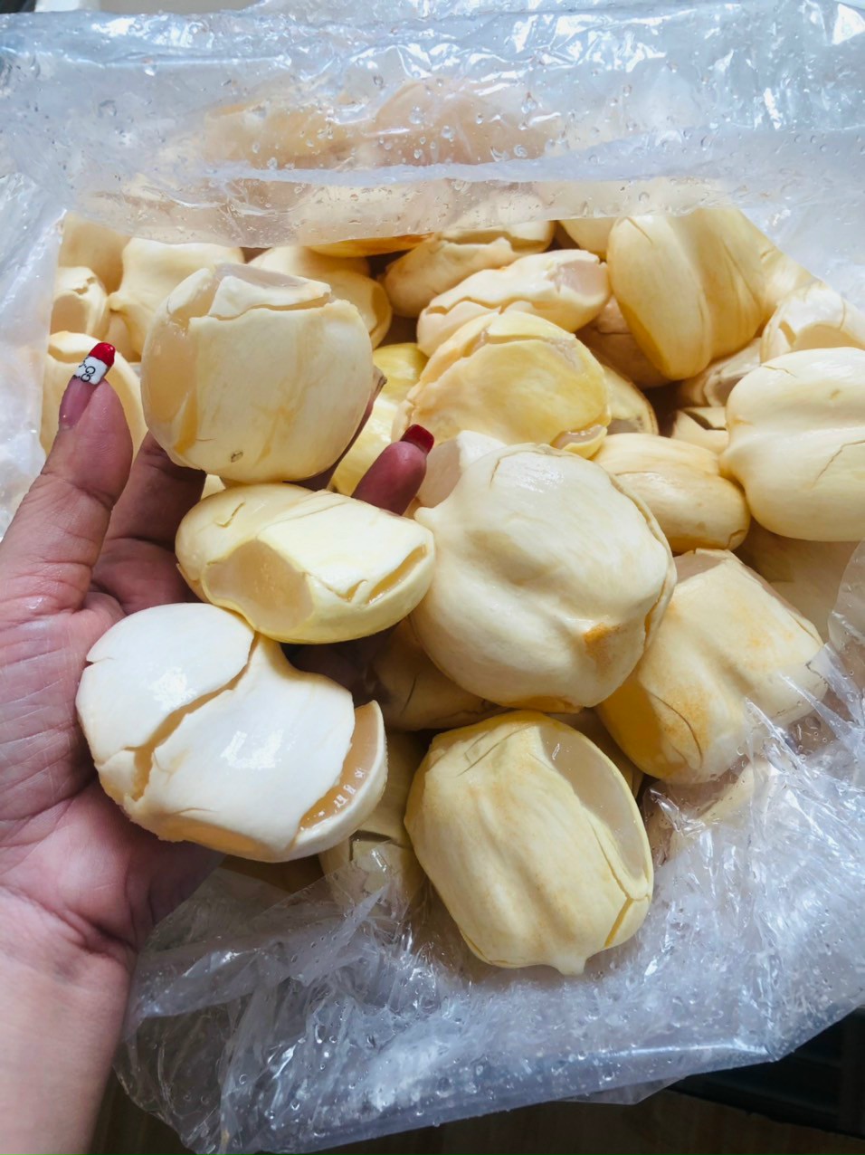 THỐT NỐT RIM KHÓM