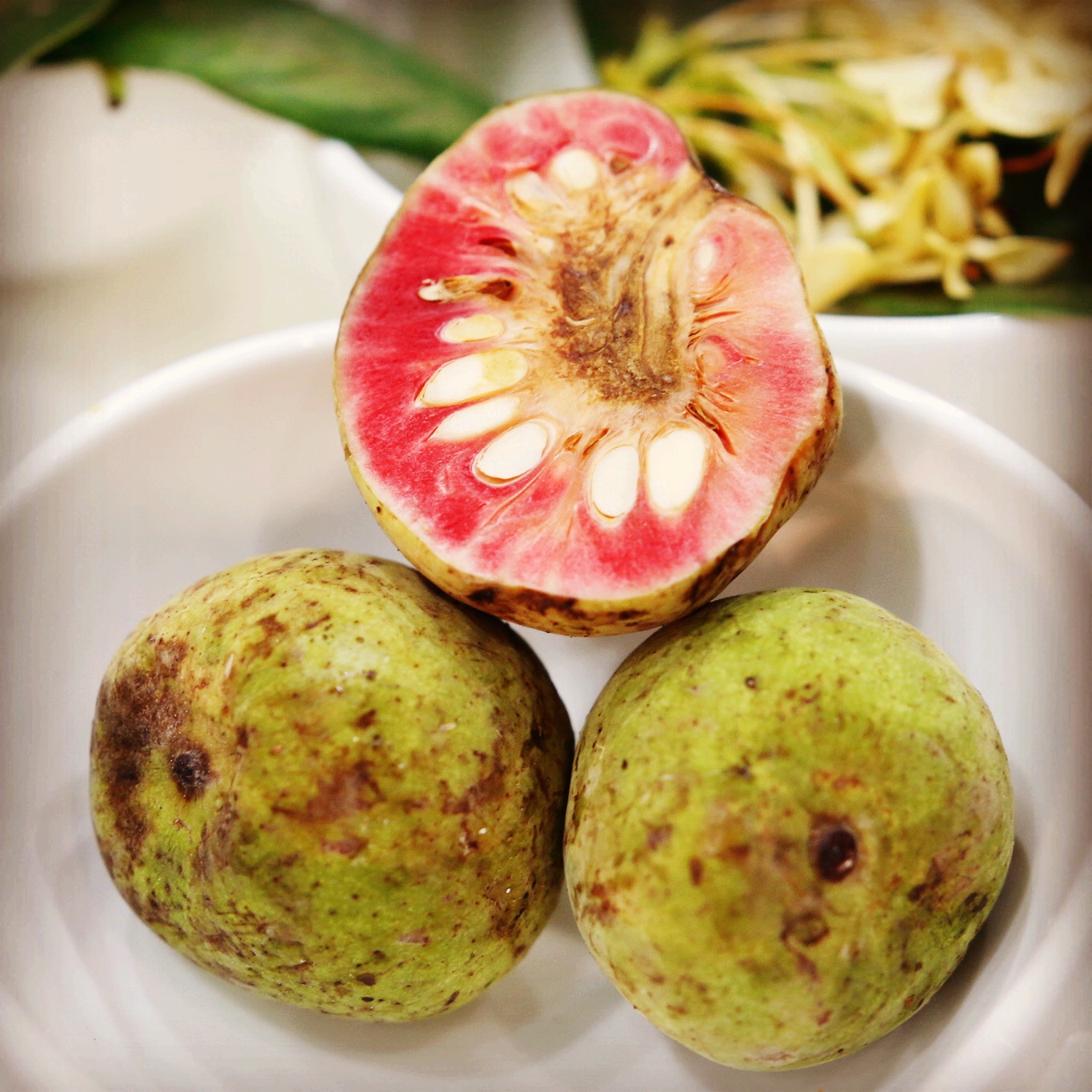 Cây Chay ruột đỏ