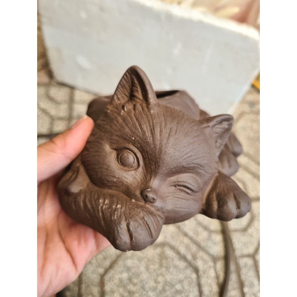 Chậu đất nung hình mèo