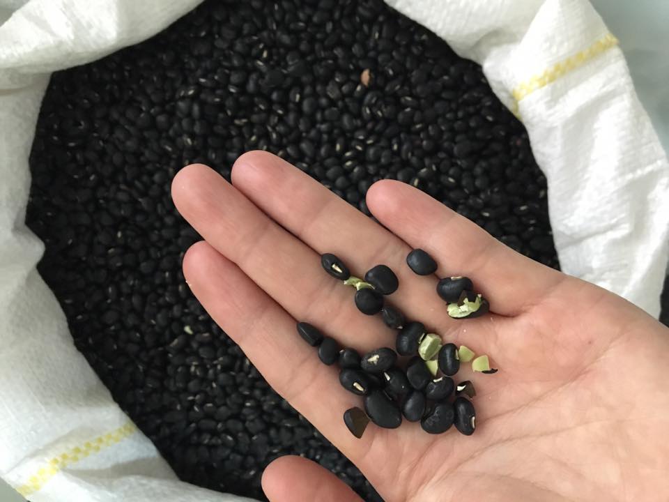 1kg ĐẬU ĐEN XANH LÒNG loại ngon