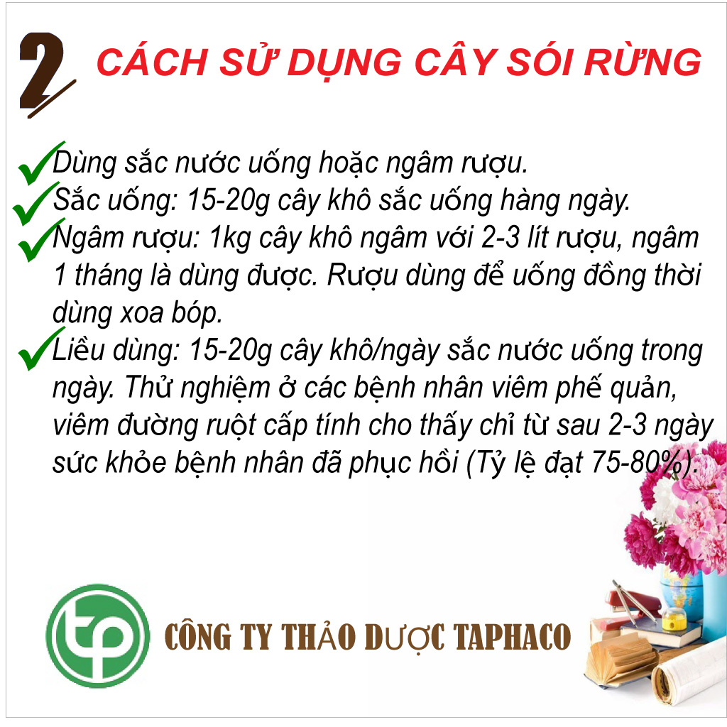 [Hàng mới về] Cây sói rừng khô túi lớn loại 1kg - tấn phát - Hỗ trợ thanh nhiệt và giải độc