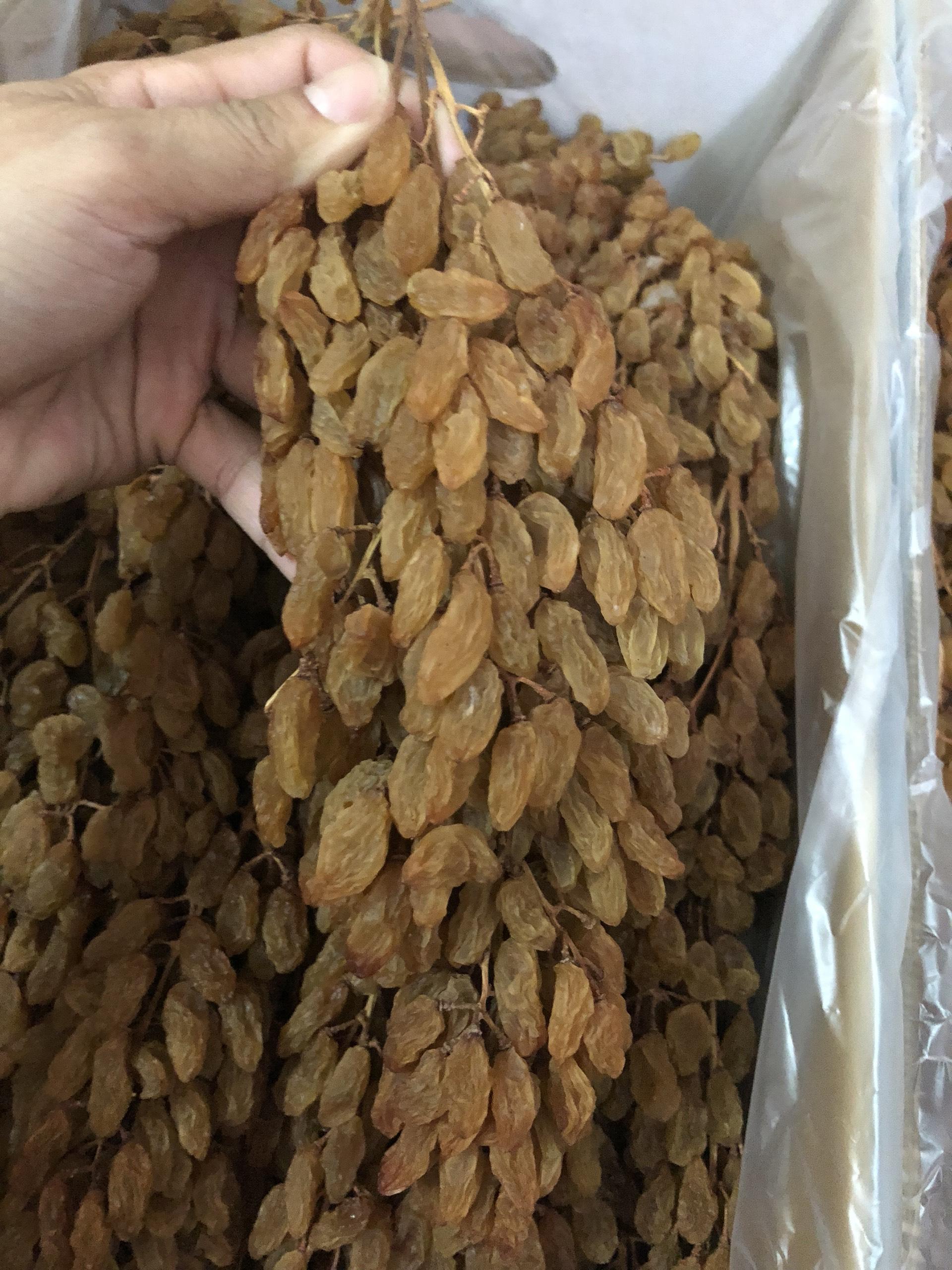 NHO KHÔ NGUYÊN CÀNH THOMPSON ÚC 500GR