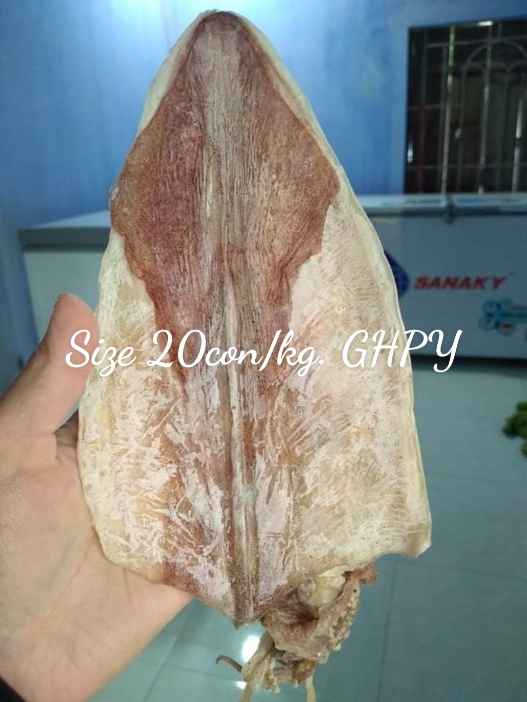 1kg Mực khô câu 20-22con [hàng loại 1 ngon ngọt] -HS01-GHPY