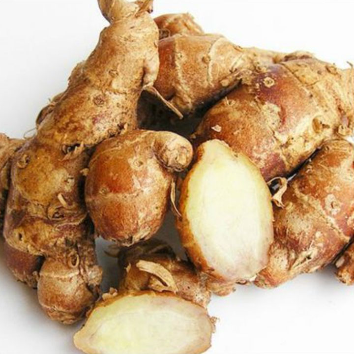Cây địa liền 1kg