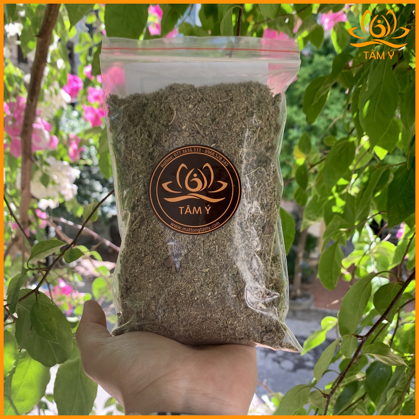 Cỏ Thần Tây Tạng Ganden Kamba - Chất Lượng Chuẩn Đốt Xông Mùi Rất Thơm