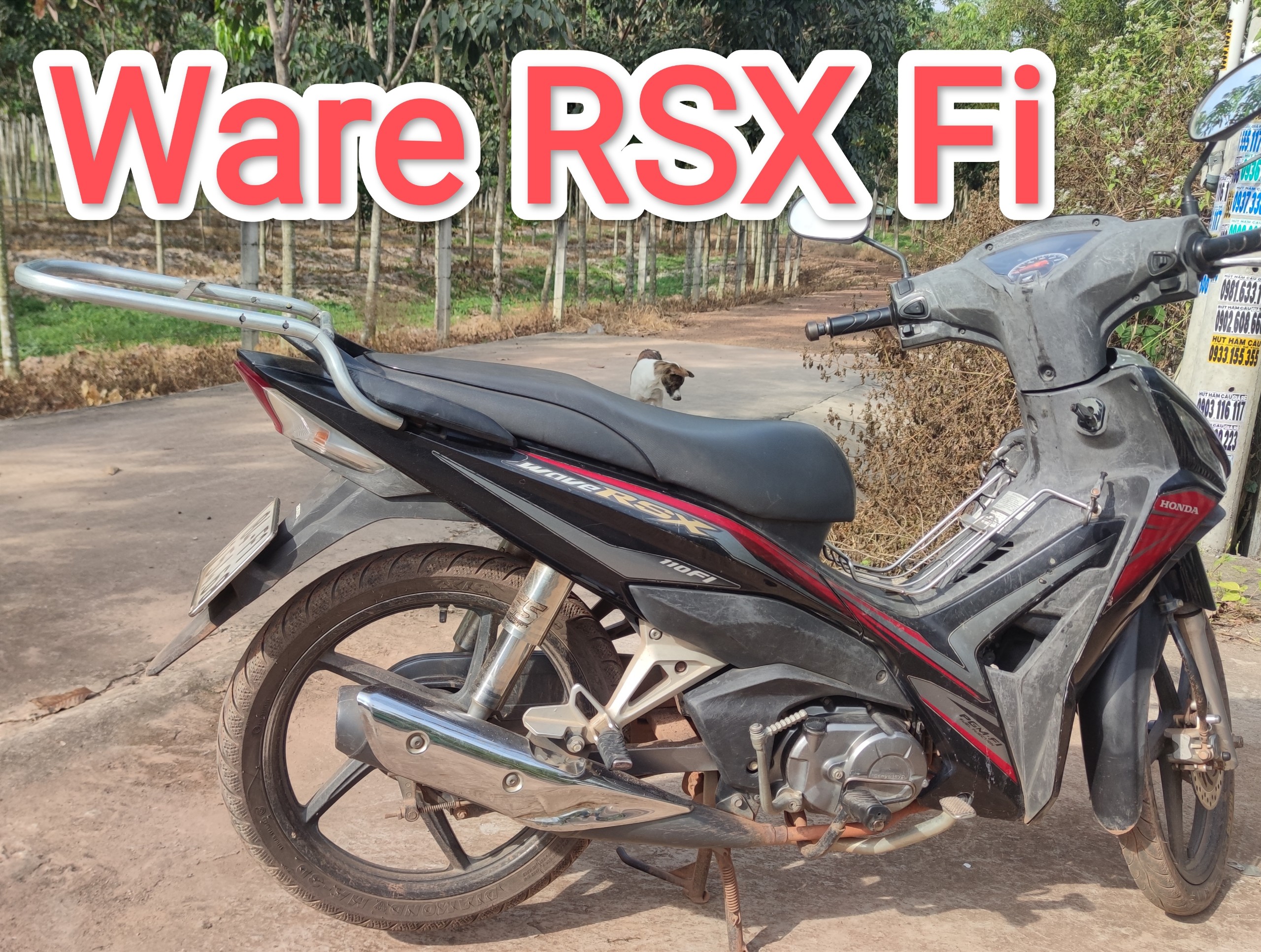 ( tặng lót tay) baga phượt xe ware RSX Fi