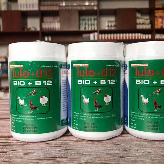 BIO B12 ÚM GÀ CON THAILAN