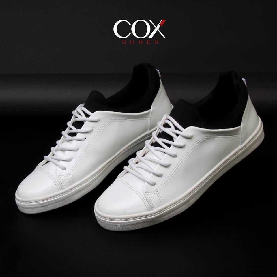 cox 43