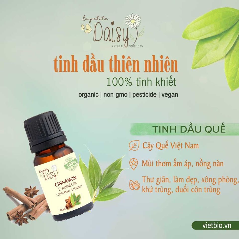 Tinh dầu quế 50ml
