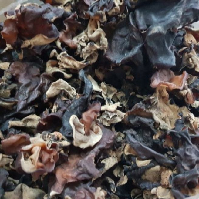 Sỉ toàn quốc 500g mộc nhĩ
