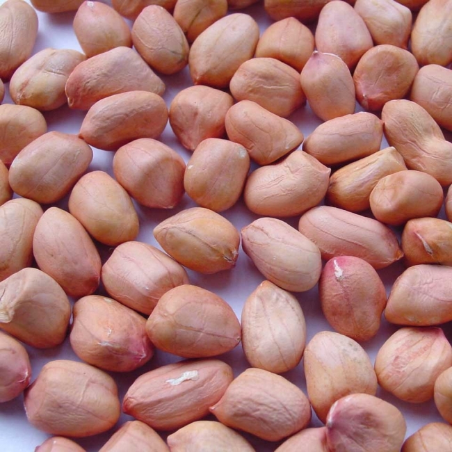 Đậu phộng quê hữu cơ