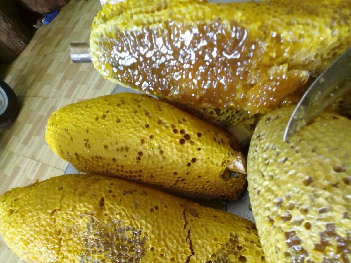 1 Lít mật ong ruồi nguyên chất - Hoa Cafe