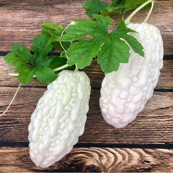 [HCM]Hạt giống khổ qua trắng - tặng gói hạt giống ngẫu nhiên