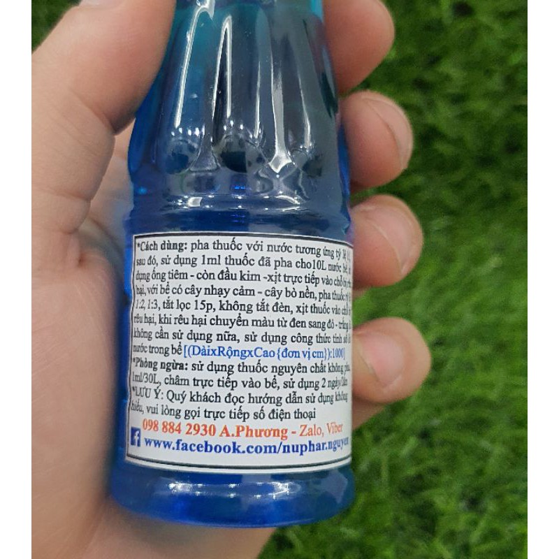 Diệt rêu hại hồ thủy sinh -- NUPHAR - Remove BBA