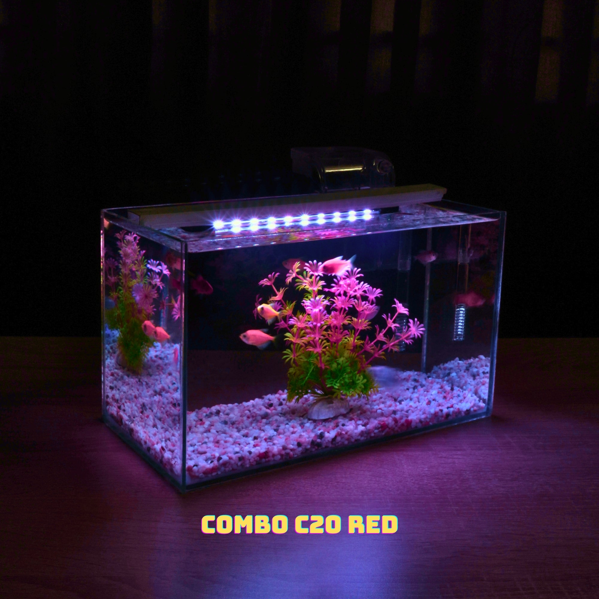 Bể cá mini FULL COMBO để bàn đầy đủ phụ kiện