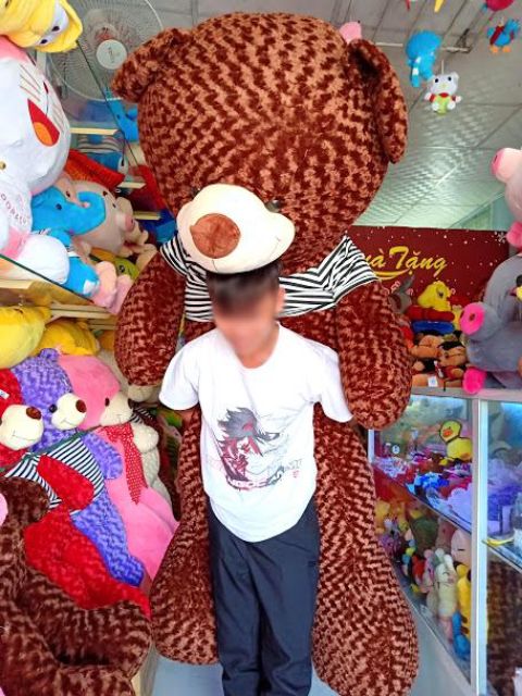 Gấu bông teddy khổ vải 2M cao 1m8