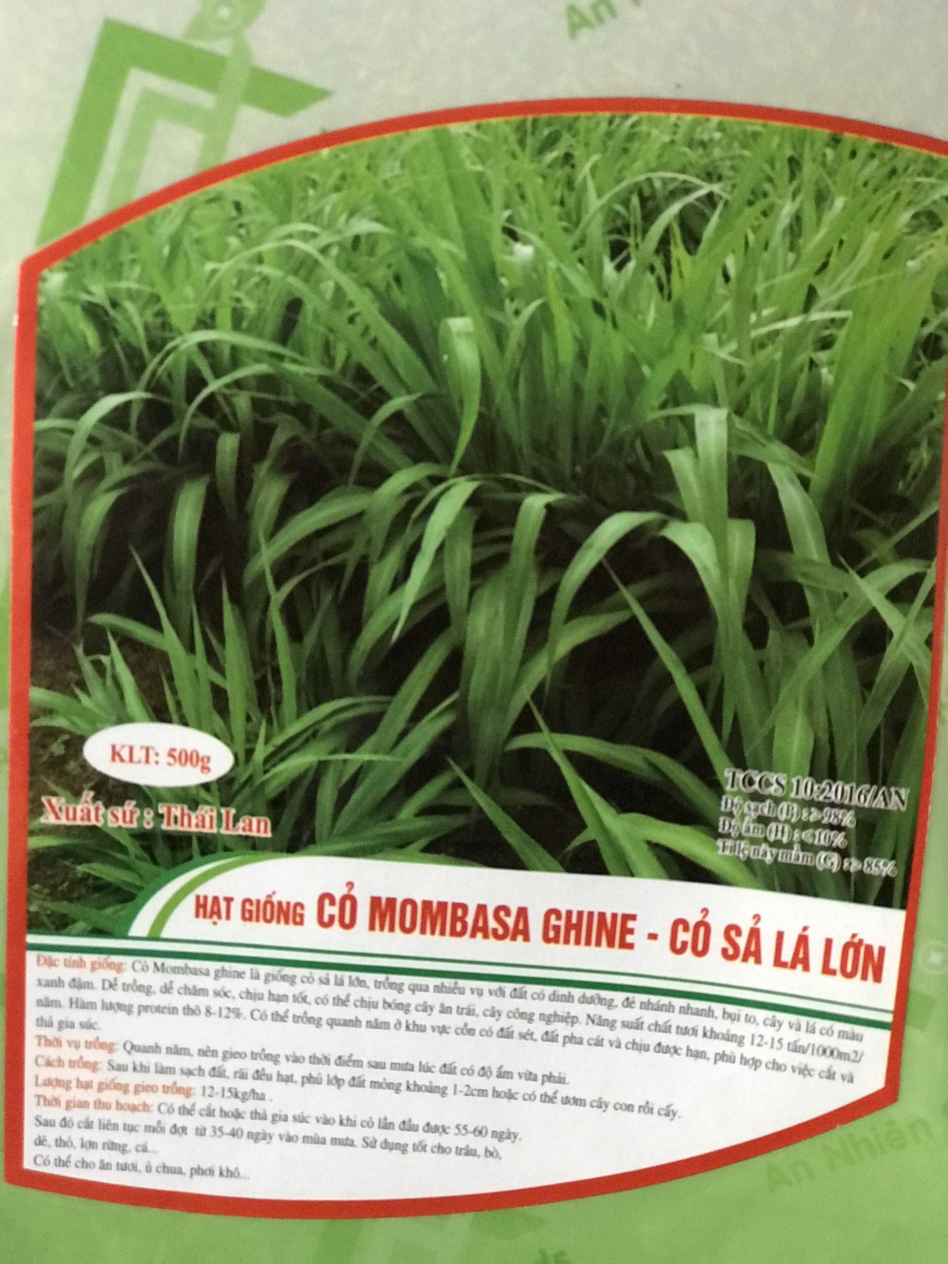 Hạt giống cỏ MOBASA GHINE - cỏ chăn nuôi 100g