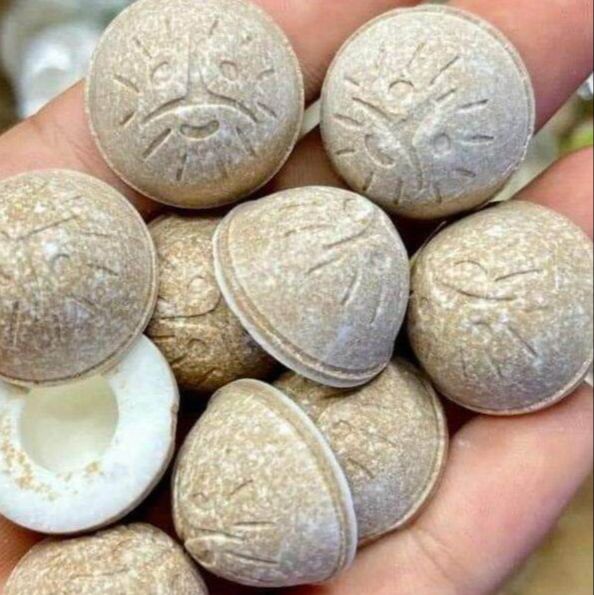 Kẹo dừa giòn sakura
