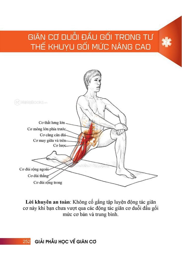 Sách Giải Phẫu Học Về Giãn Cơ (PD)- Newshop