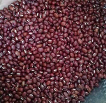 Đậu đỏ nấu chè - 1kg loại ngon