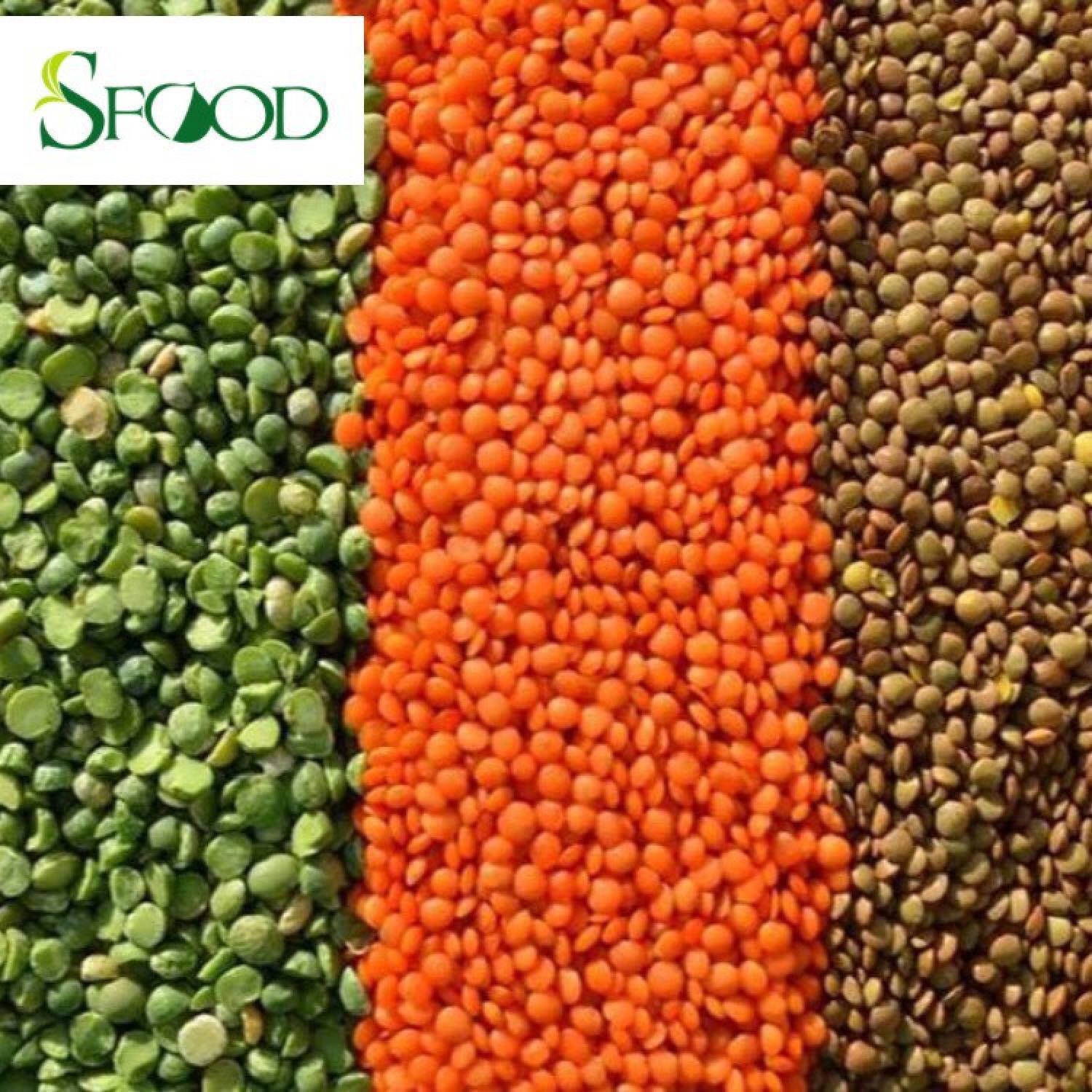 Đậu lăng Sfood 500gram, đậu lăng đỏ