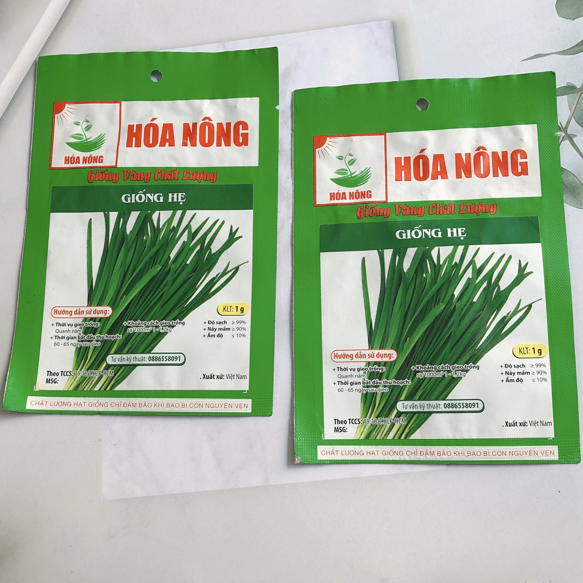 Hạt giống hẹ lá HN gói 1gr