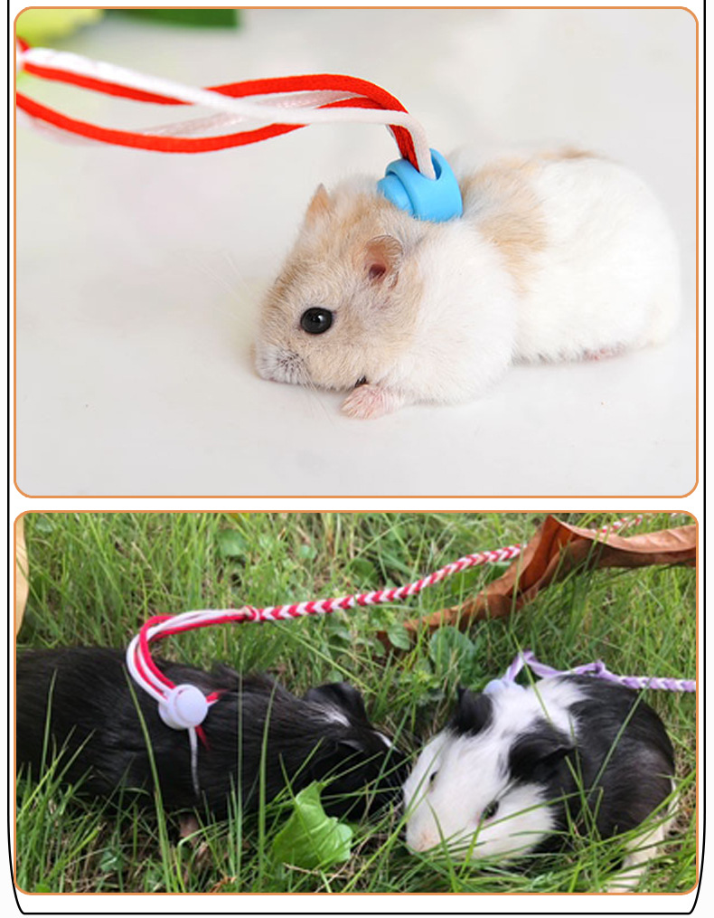 dây dắt hamster - sóc - thỏ - bọ bằng vải