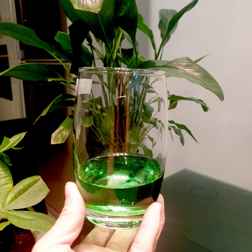 Ly bầu lỡ 380ml ES1140