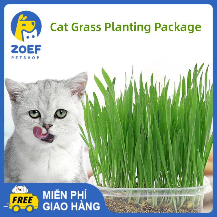 ZOEF Cat Grass Planting Kit Cat Grass Seed Nutrient Soil Hydroponics Set
