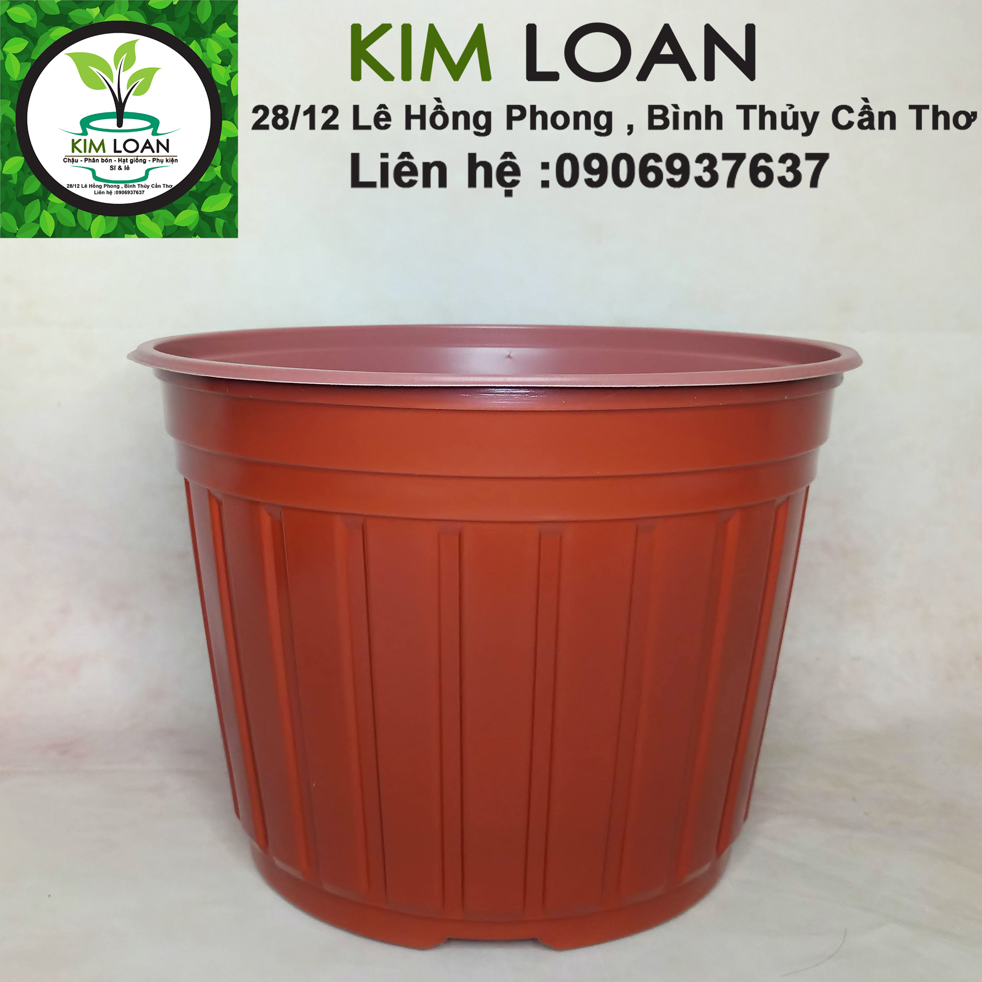 Combo 10 chậu nhựa vành cứng C9 30x21cm