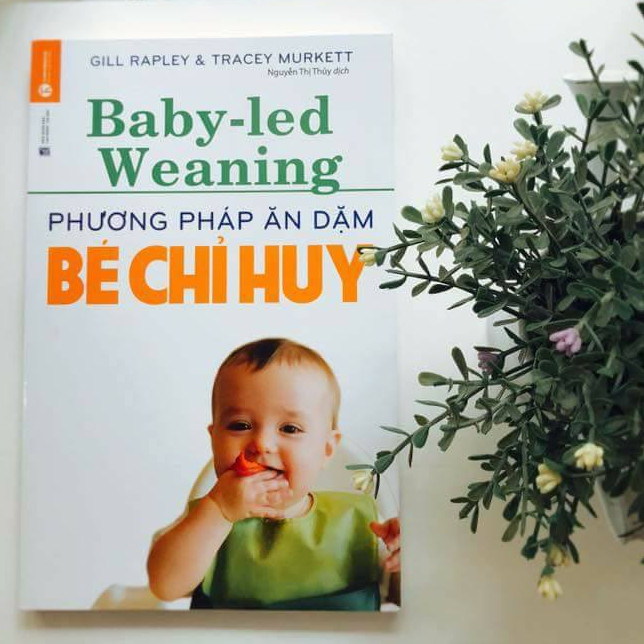 Phương Pháp Ăn Dặm Bé Chỉ Huy