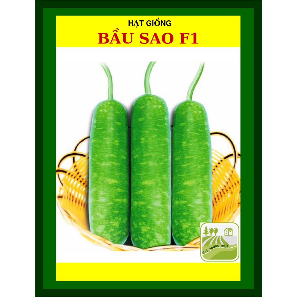 10H - Hạt giống Bầu sao Trang Nông