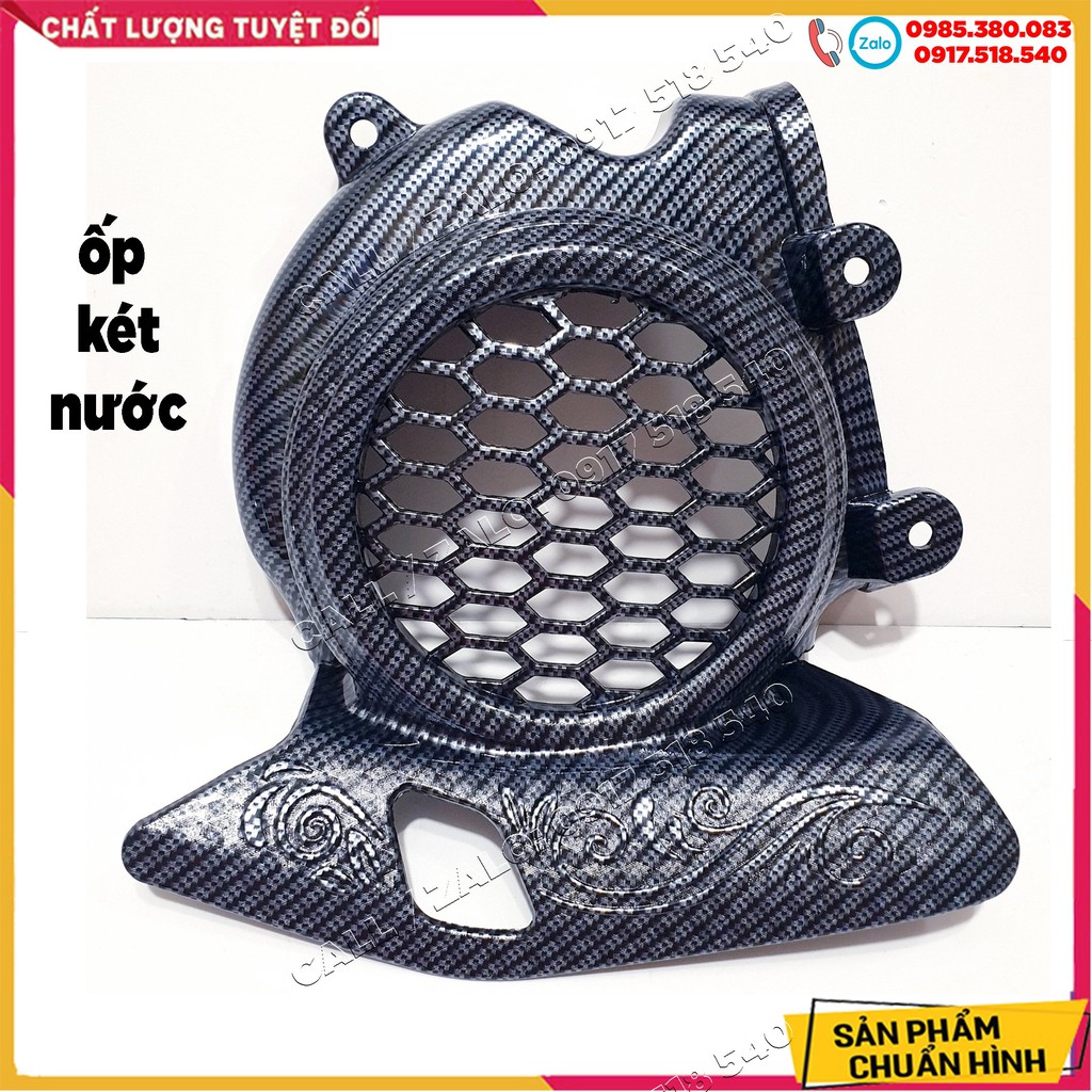 Ốp Carbon Vision 2021 - Vision 2022 ( giá lẻ từng món)