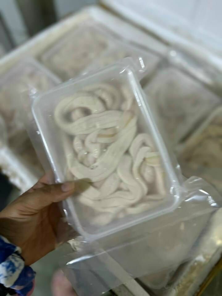 Tuỷ Bò hộp 500gr (giao tphcm)