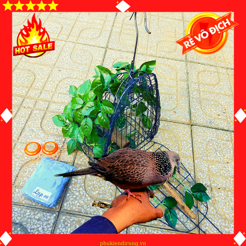Lồng Bẫy Chim Cu Gáy