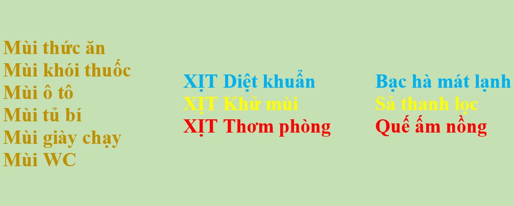 Xịt sát khuẩn khử mùi tinh dầu Quế