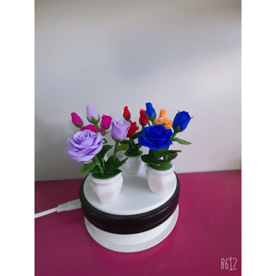 Hồng mini dể thương