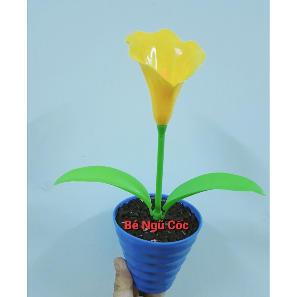 [HCM]Đồ chơi trồng cây bằng nhựa (ảnh thật)