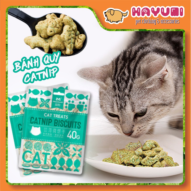 Bánh quy thưởng catnip dành cho mèo - hayumi