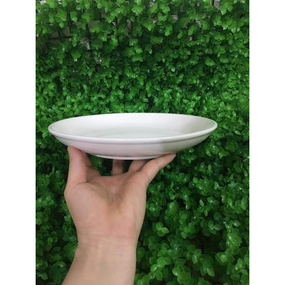 đĩa sứ màu trắng vuông 21cm