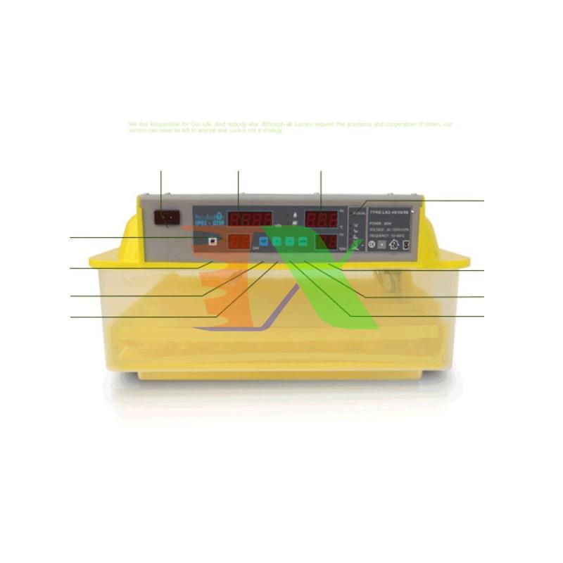 Incubator chicken eggs, duck eggs, Bird, Dove (56)