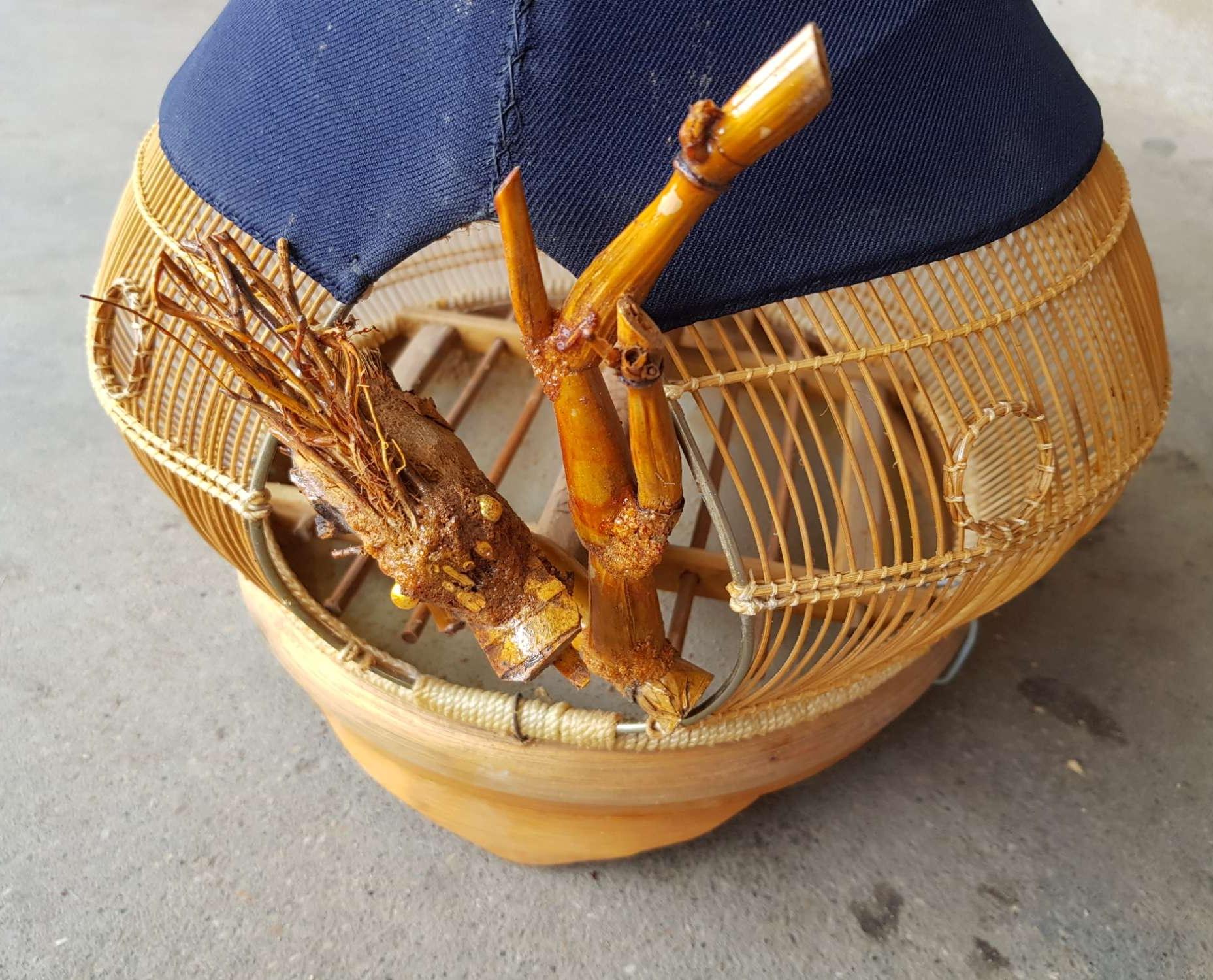 Lồng nuôi cu gáy hàng đẹp
