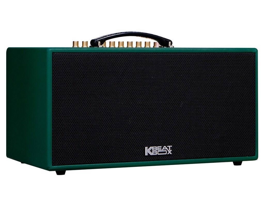 Loa Karaoke Di Động Acnos CS445D