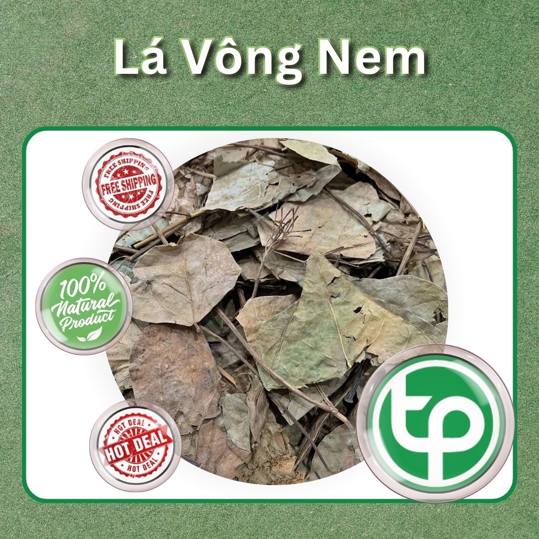 Dried Wonton Leaves, 1kg - High Quality Company Product - Supports Improving the User's Health - Tan Phat Herbal Medicine