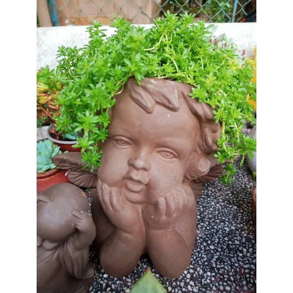 Chậu đất nung hình thiên thần chống cằm.