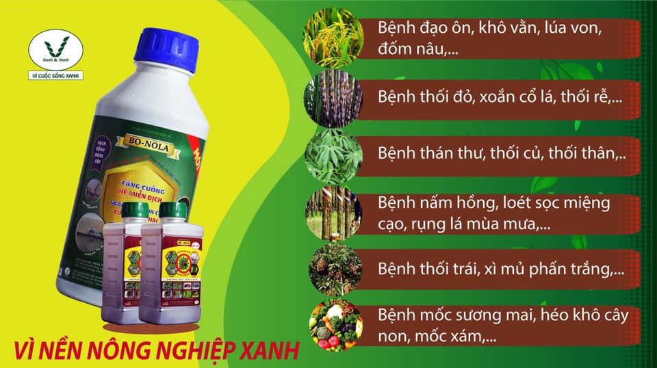 Bo-Nola , Chế phẩm vi sinh, chế phẩm trichoderma -1L