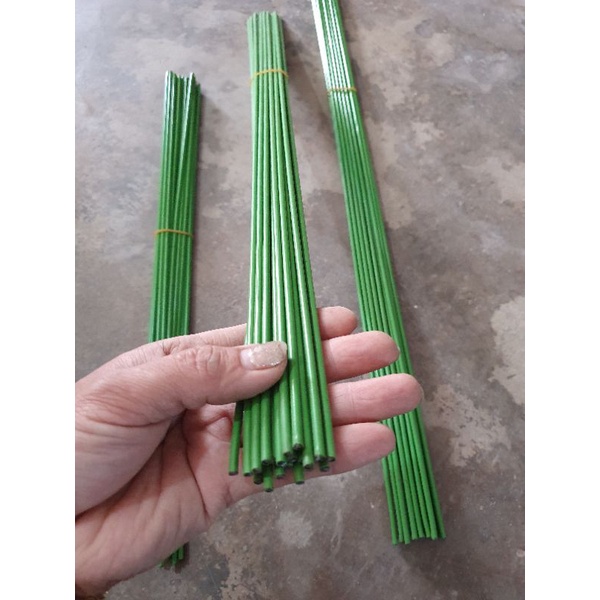 10 que cắm lan,que giữ hồ điệp dài 40,50,60cm