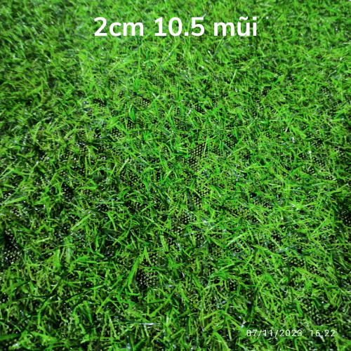 Thảm cỏ nhân tạo 2cm  (loại 2cm 10.5 mũi, quý khách đọc kỹ mô tả)