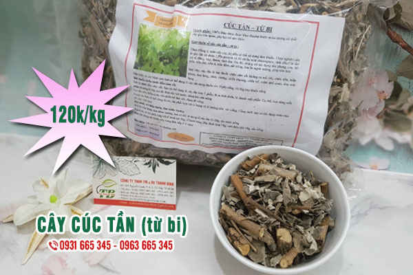 Cây Cúc Tần Khô - Thảo Dược Thanh Bình
